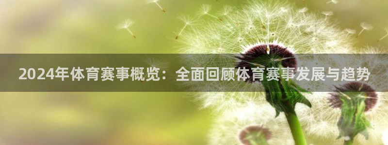 2024年体育赛事概览：全面回顾体育赛事发展与趋势