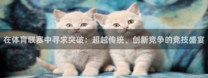 在体育联赛中寻求突破：超越传统、创新竞争的竞技盛宴