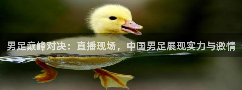 男足巅峰对决：直播现场，中国男足展现实力与激情