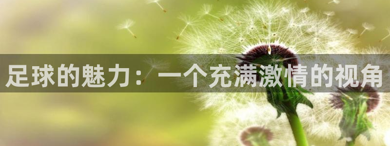 足球的魅力：一个充满激情的视角