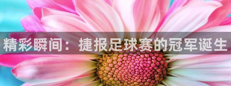 精彩瞬间：捷报足球赛的冠军诞生
