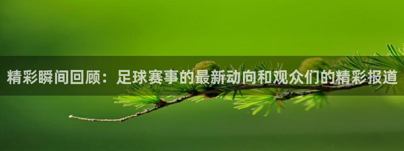 精彩瞬间回顾：足球赛事的最新动向和观众们的精彩报道