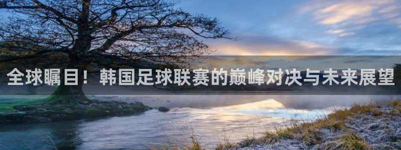 全球瞩目！韩国足球联赛的巅峰对决与未来展望