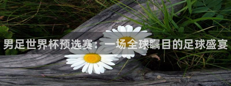 男足世界杯预选赛：一场全球瞩目的足球盛宴