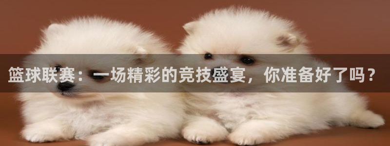 篮球联赛：一场精彩的竞技盛宴，你准备好了吗？