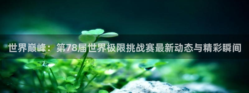 世界巅峰：第78届世界极限挑战赛最新动态与精彩瞬间