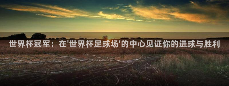 世界杯冠军：在\'世界杯足球场\'的中心见证你的进球与胜利