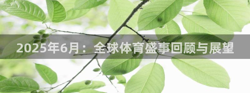 2025年6月：全球体育盛事回顾与展望