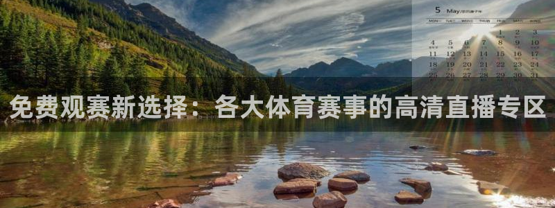 免费观赛新选择：各大体育赛事的高清直播专区