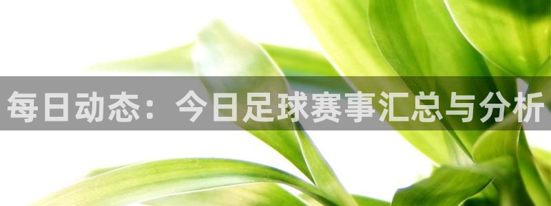 每日动态：今日足球赛事汇总与分析