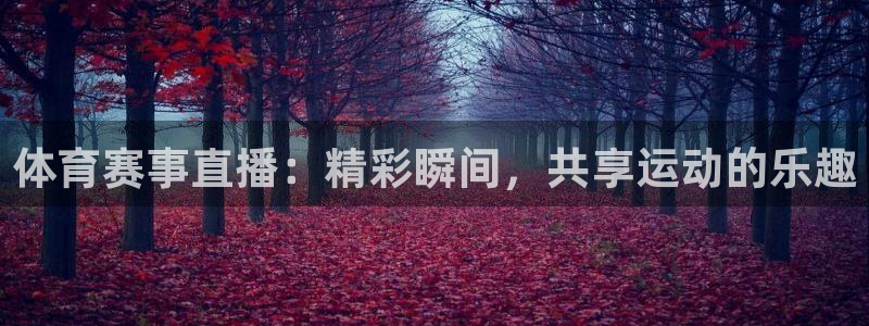 体育赛事直播：精彩瞬间，共享运动的乐趣