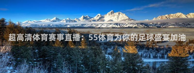 超高清体育赛事直播：55体育为你的足球盛宴加油