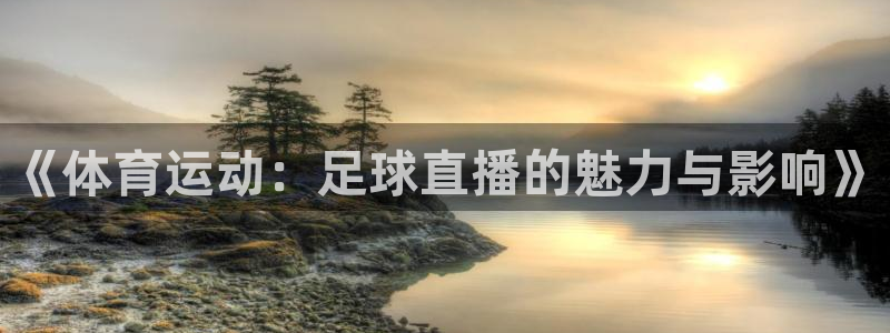 《体育运动：足球直播的魅力与影响》