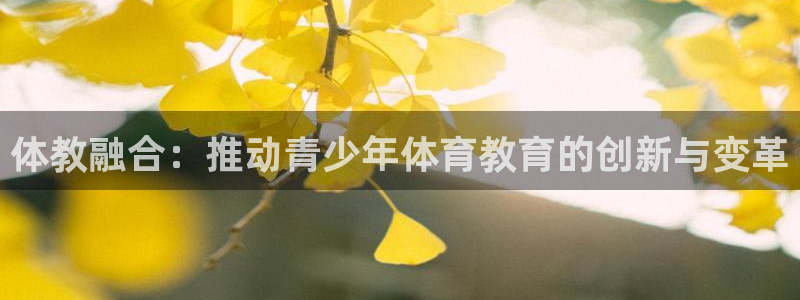 体教融合：推动青少年体育教育的创新与变革
