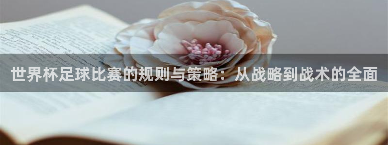 世界杯足球比赛的规则与策略：从战略到战术的全面