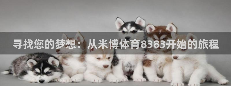 寻找您的梦想：从米博体育8383开始的旅程