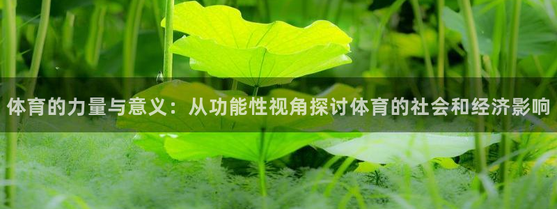 体育的力量与意义：从功能性视角探讨体育的社会和经济影响