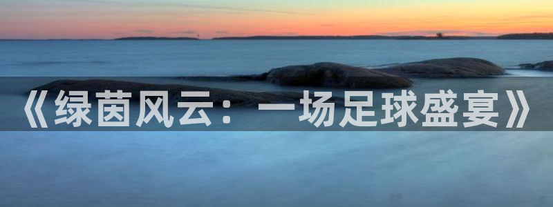 《绿茵风云：一场足球盛宴》