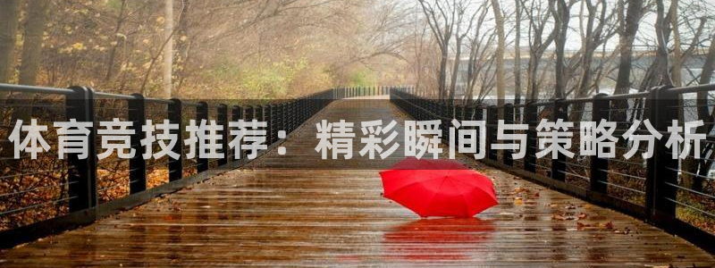 体育竞技推荐：精彩瞬间与策略分析