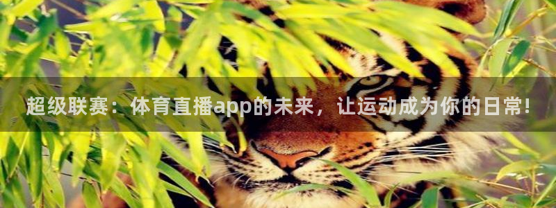超级联赛：体育直播app的未来，让运动成为你的日常!