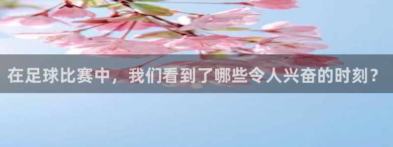 在足球比赛中，我们看到了哪些令人兴奋的时刻？