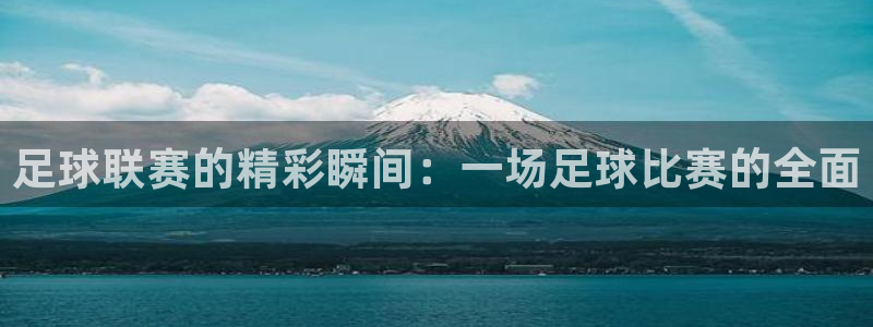 足球联赛的精彩瞬间：一场足球比赛的全面
