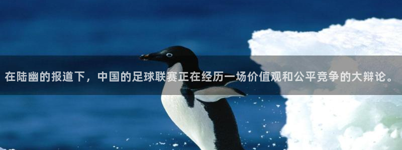 在陆幽的报道下，中国的足球联赛正在经历一场价值观和公平竞争的大辩论。