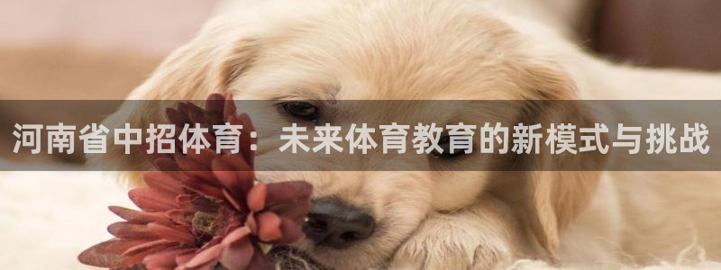 河南省中招体育：未来体育教育的新模式与挑战