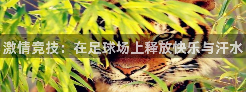 激情竞技：在足球场上释放快乐与汗水