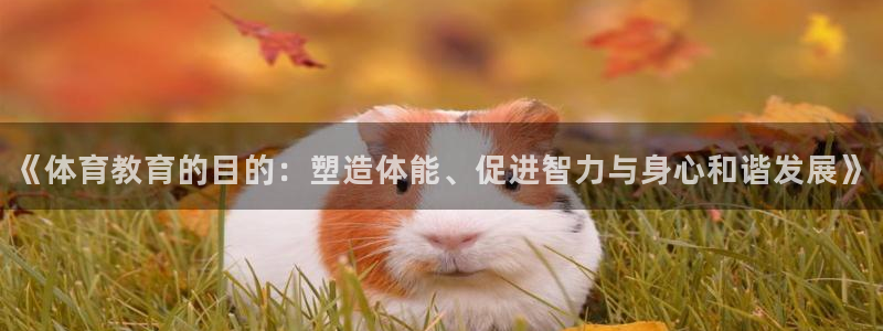 《体育教育的目的：塑造体能、促进智力与身心和谐发展》
